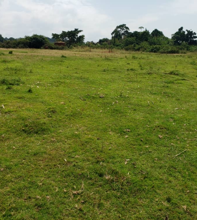 WhatsApp Image 2022-07-15 at 8.56.09 PM.jpeg